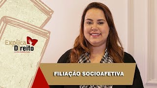 Explica Direito Filiação Socioafetiva  2019 [upl. by Yelha]