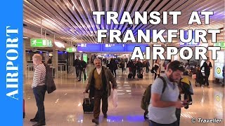 TRANSIT WALK AT FRANKFURT Airport FRA Terminal 1  Connection Flight Transfer Arriving amp Departing [upl. by Ader]